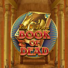 Book of Dead bei SpinEmpire
